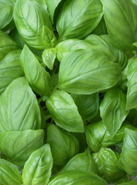 Il sudore non è più un problema