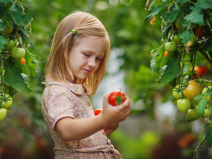 Coltivare per mangiare bene: educazione alimentare nell'orto di casa