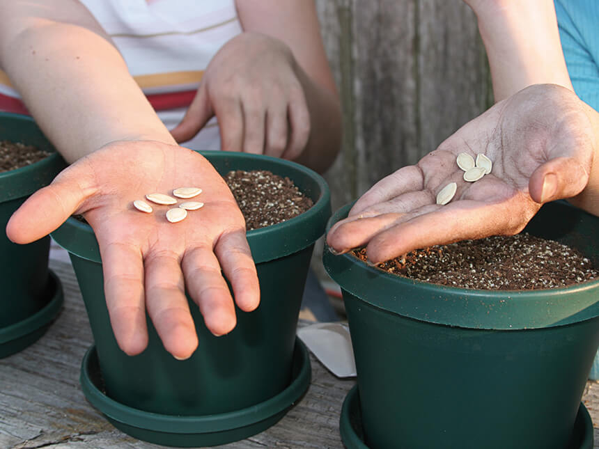 Giardinaggio significa anche saper aspettare