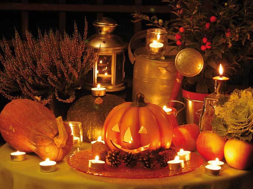 Zucche protagoniste di un magico autunno