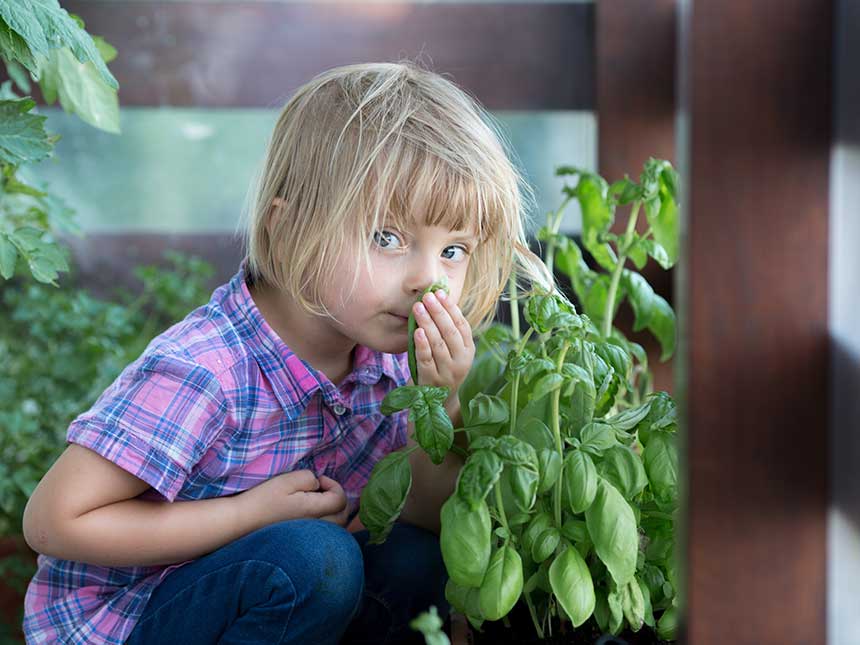 L'importanza del profumo: il giardinaggio dei sensi