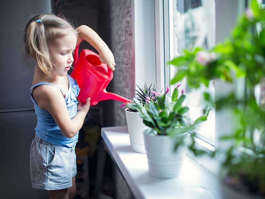 Giardinaggio in casa per educare alla responsabilità