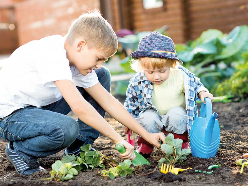 Per i piccoli orticoltori, verdure a tempo di record