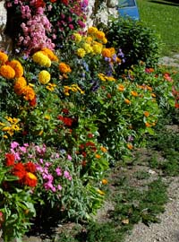 Nei giardini in montagna