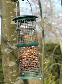 Cibo per gli uccellini