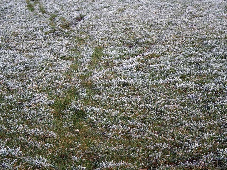 Il prato nel riposo invernale