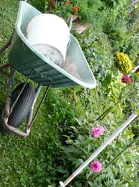 Preparare il terreno per le perenni