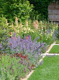 Aiuole e bordure: lavori di primavera