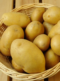 Patate nell’orto