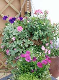 Il terrazzo tra primavera ed estate