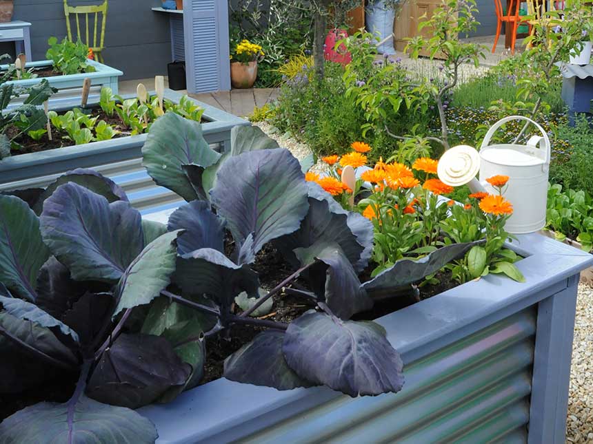 Orto superstar: le verdure sorpassano i fiori