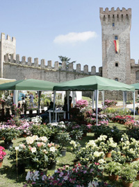 Este in Fiore, tanti giardini per crescere
