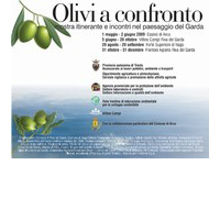 Olivi a confronto sul lago di Garda
