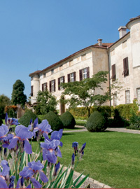 Dall’iris al Liberty nell’alessandrino