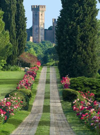 Festa di colori al Parco Giardino Sigurtà, a pochi passi dal Lago di Garda