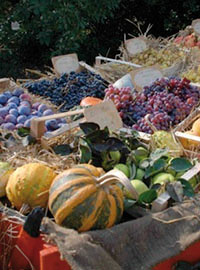 Frutti Antichi al Vivaio Belfiore