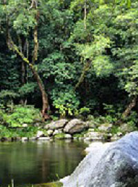 In difesa della biodiversità