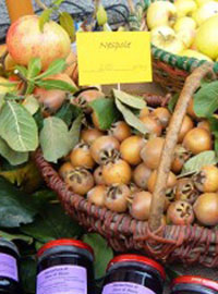 A Casola Valsenio, frutti “dimenticati” in festa
