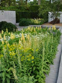 Da Firenze al Chelsea Flower Show
