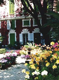 L’erba persa