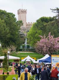 Este in Fiore e i giardini verticali