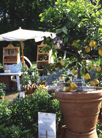 Tre giorni per il giardino