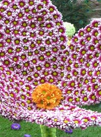 A Ventimiglia, battaglia a suon di fiori