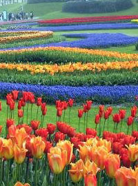 Tutti in Olanda, comincia Floriade