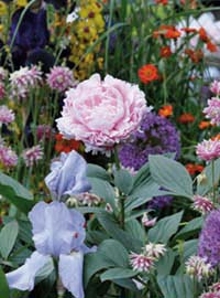 2012, Floriade in Olanda