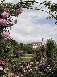 Franciacorta in Fiore