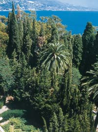 I Giardini Hanbury all’imbrunire