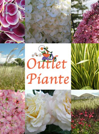 Ladre di piante: un ’