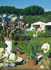 Primavera alla Landriana