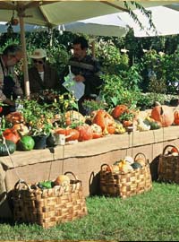 Autunno alla Landriana