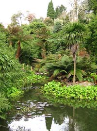 Imparare l’inglese visitando i giardini