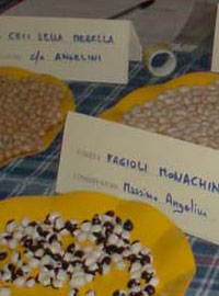Semi e lieviti: la festa dello scambio