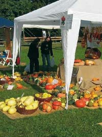 A Masino, due giorni per l’autunno