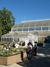 Firenze, autunno al Giardino dell’Orticoltura