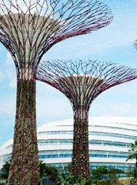 Gli alberi-grattacielo di Singapore