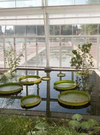 Apre a Padova il Giardino della Biodiversità