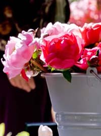 Tutti al Perugia Flower Show