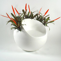 Poltroncina con giardino