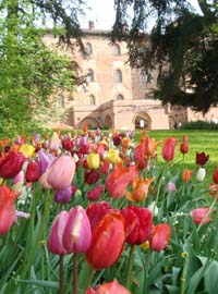 Al Castello di Pralormo, dove i tulipani danno spettacolo
