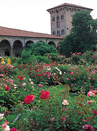 In Franciacorta, le rose del castello Quistini