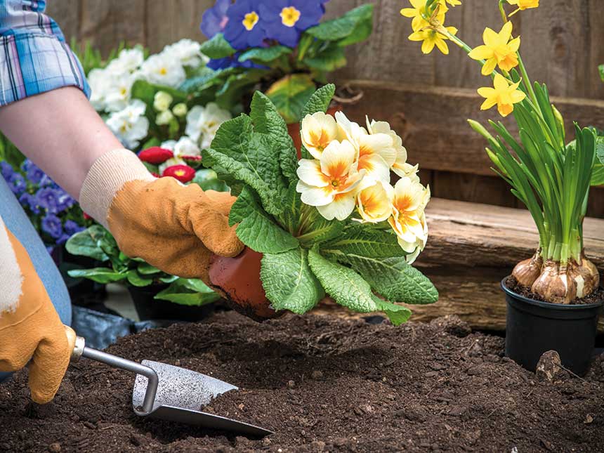 Giardinaggio e salute, un binomio da capire e da praticare regolarmente