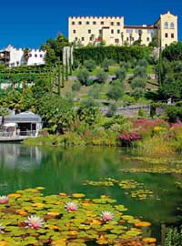 Concerti in giardino