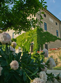 Vino in villa