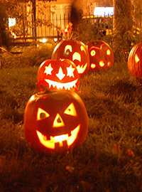 Dalla zucca di Halloween il carburante per i veicoli militari