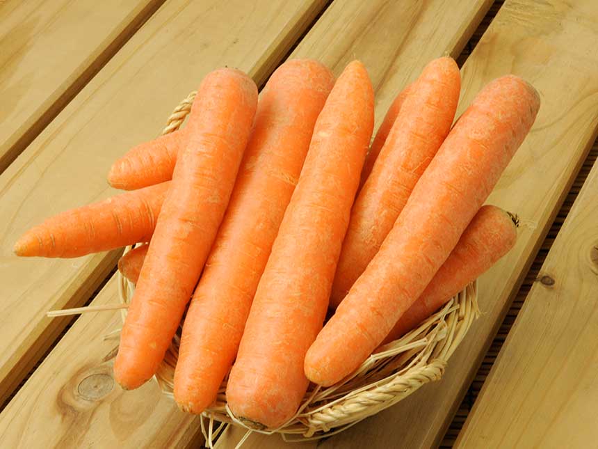 Coltivare le carote in vaso