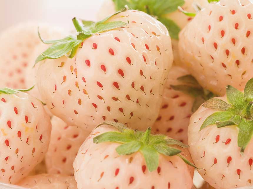 Fragole bianche: buone, con sapore di ananas